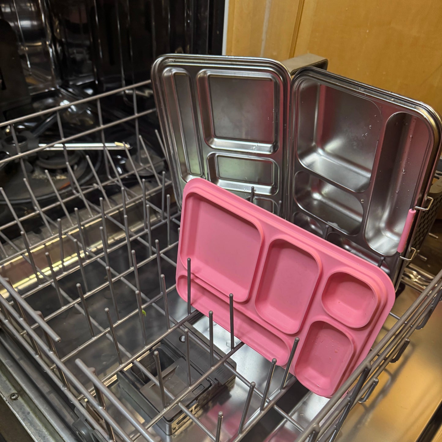 Medley™ 5-Compartment Stainless Steel Bento Lunch Box